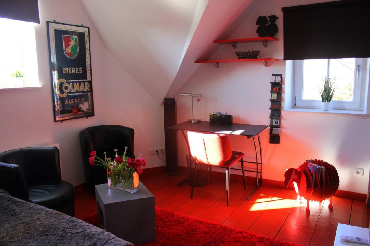 Studio De La Petite Venise Colmar Exterior foto